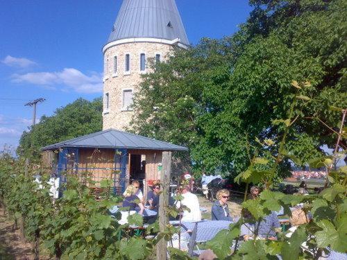 万的鲁斯特酒店 Floersheim am Main 外观 照片